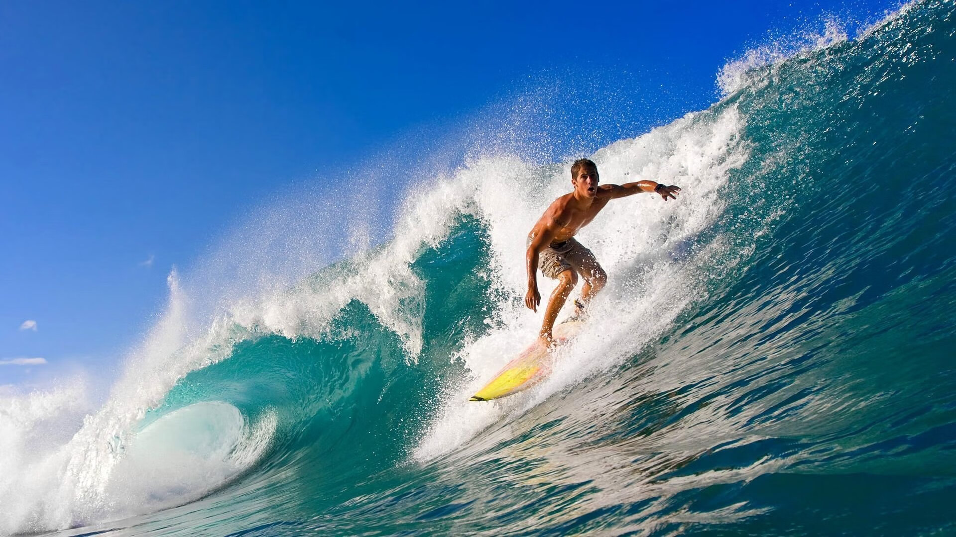 开云官网-全国跆拳道锦标赛，武道精神激励青年，全国跆拳道锦标赛冠军